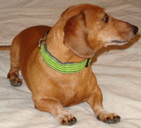 Patterned Hemp Collars