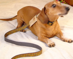 Patterned Hemp Leashes
